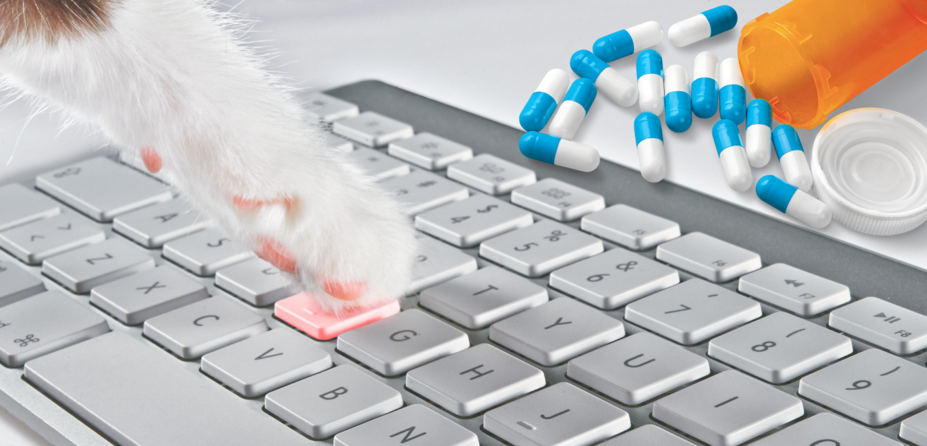 Cat paw typing on a keyboard with veterinary medicinal products in the background. Regulation (EU) 2019/6 – rules for authorisation and control.