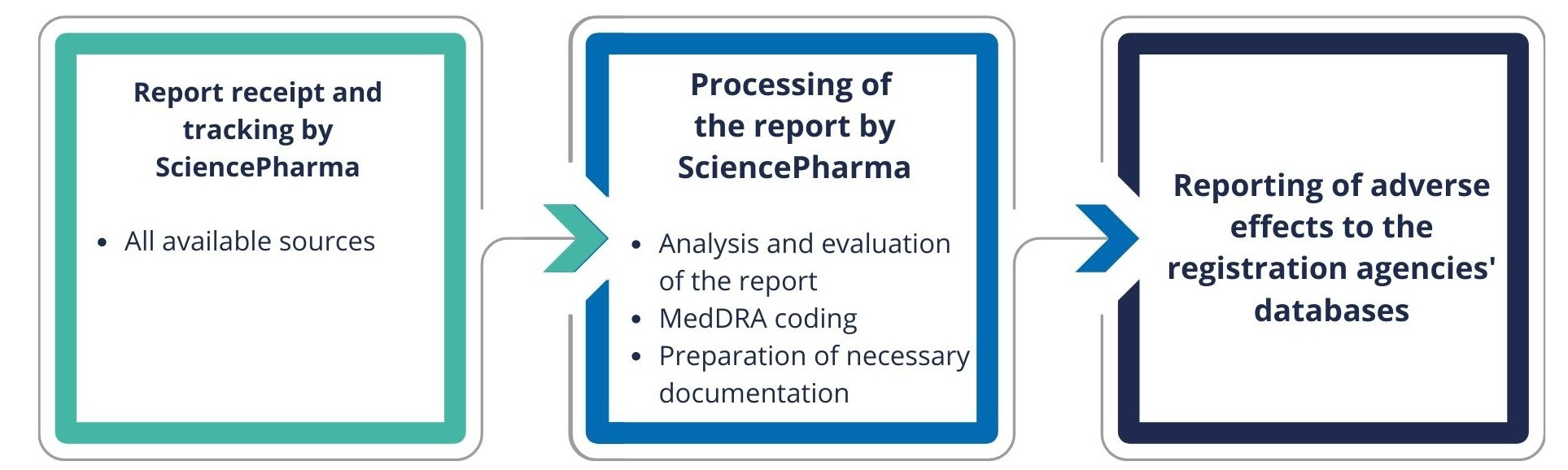 Pharmacovigilance system step by step.