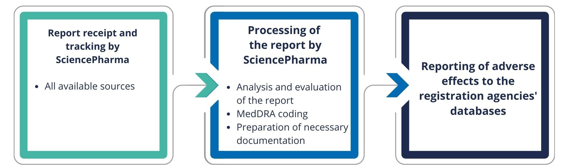 Pharmacovigilance system step by step.