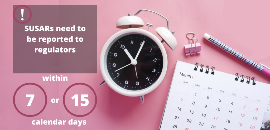A calendar and alarm clock on a pink background and the information that SUSARs should be reported to regulators within 7-14 calendar days.